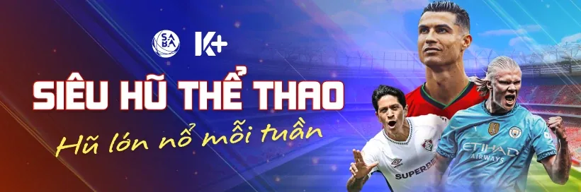 Giải đấu đá gà Việt Nam